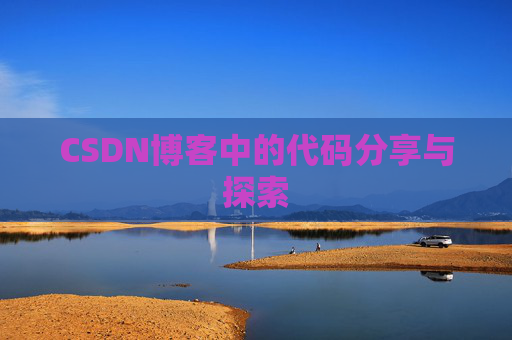 CSDN博客中的代码分享与探索